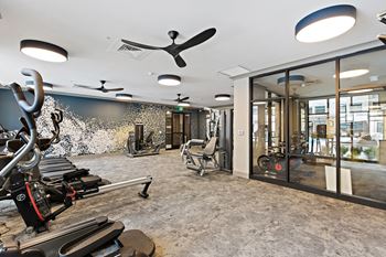 The gym 